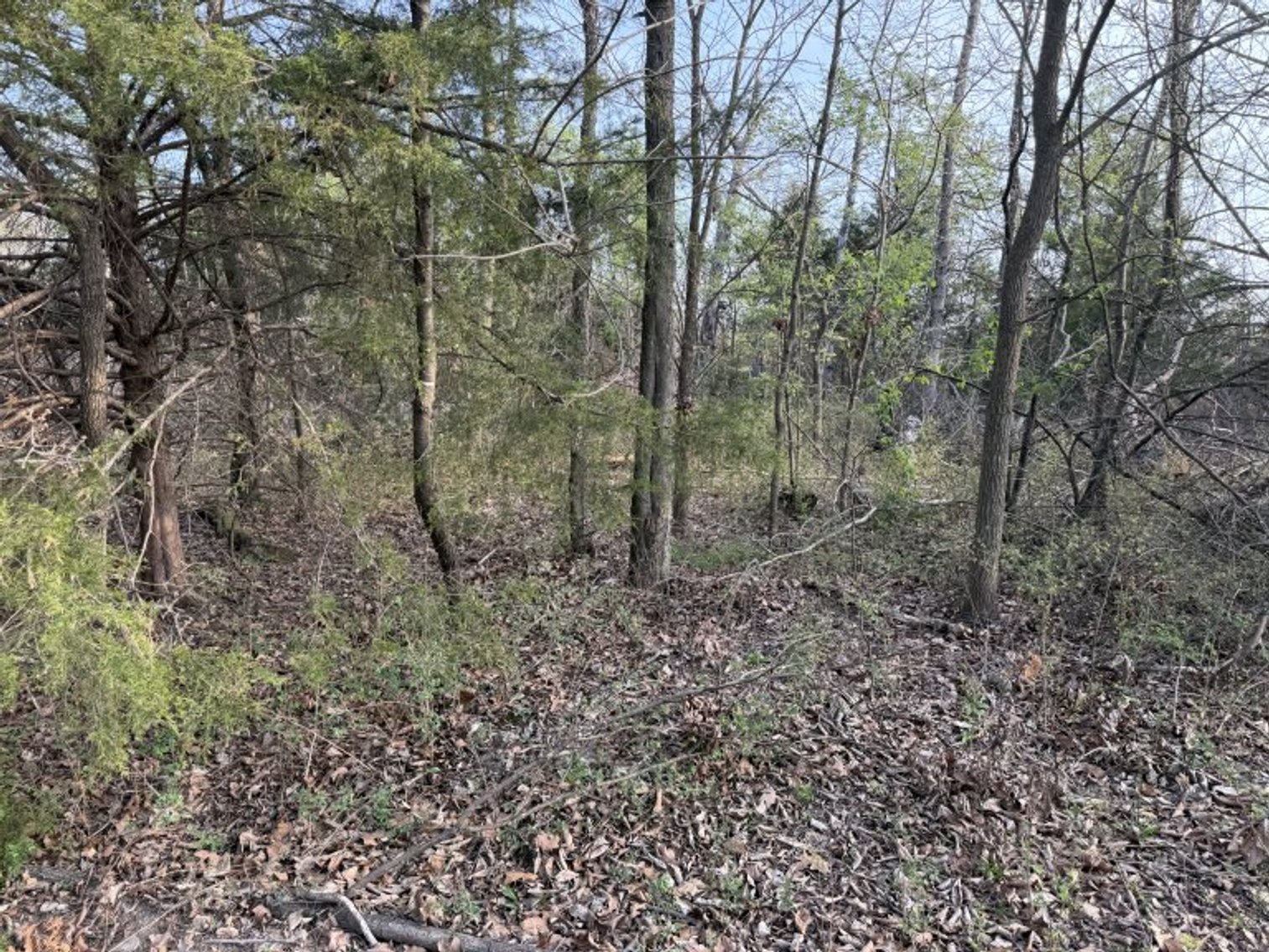 Image for PRATER HARDWOOD PRODUCTS, OK