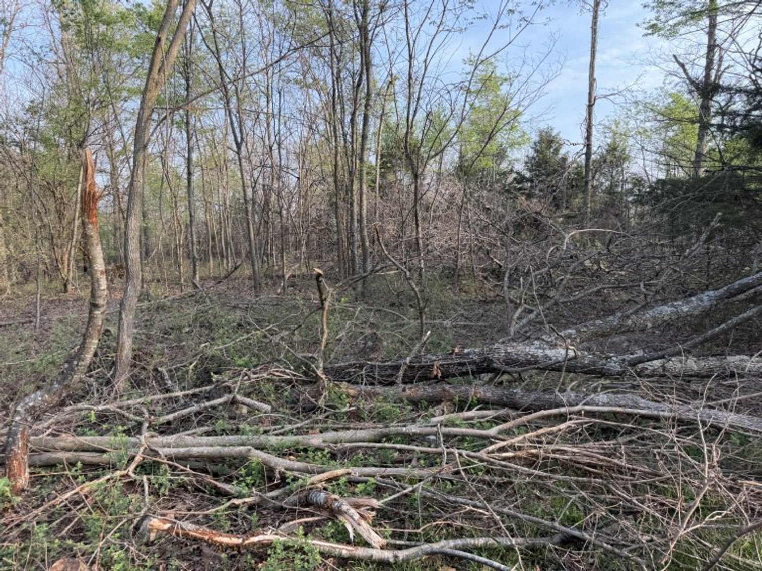 Image for PRATER HARDWOOD PRODUCTS, OK