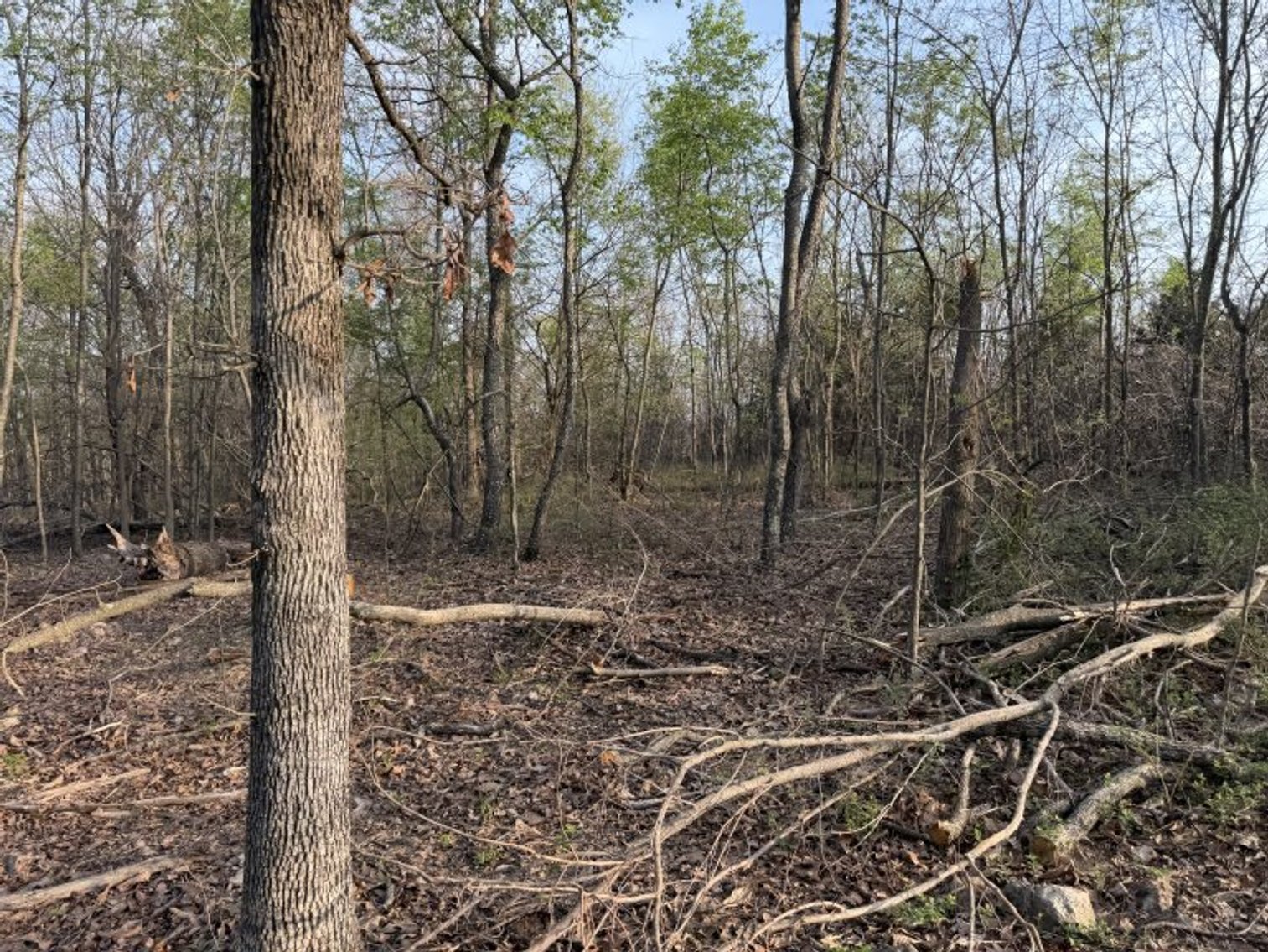 Image for PRATER HARDWOOD PRODUCTS, OK