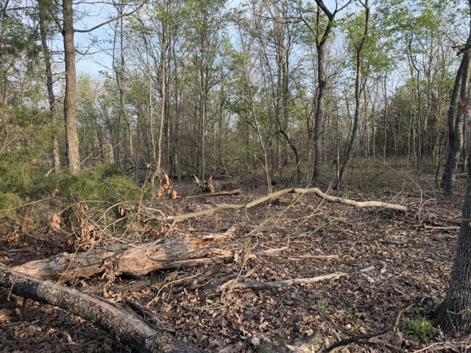 Image for PRATER HARDWOOD PRODUCTS, OK