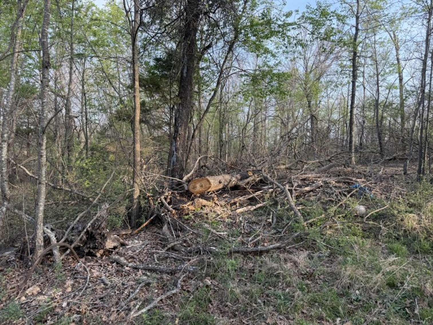 Image for PRATER HARDWOOD PRODUCTS, OK