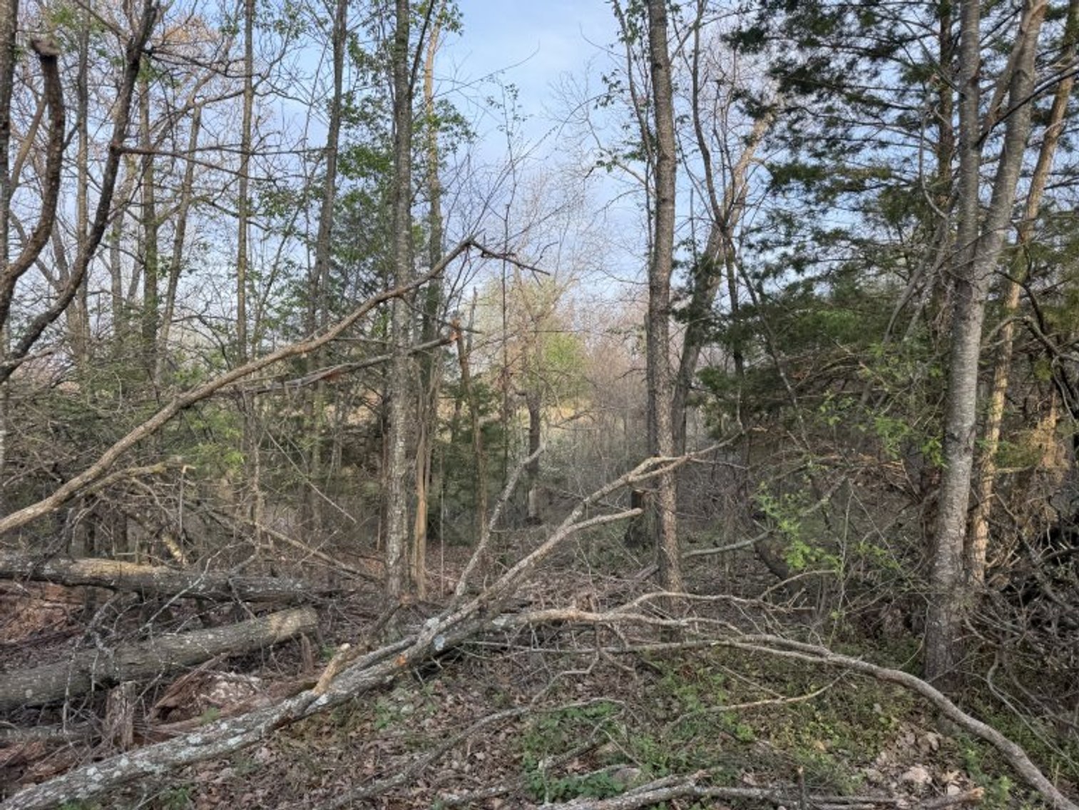 Image for PRATER HARDWOOD PRODUCTS, OK