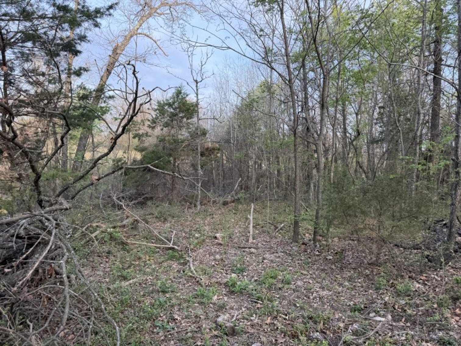 Image for PRATER HARDWOOD PRODUCTS, OK