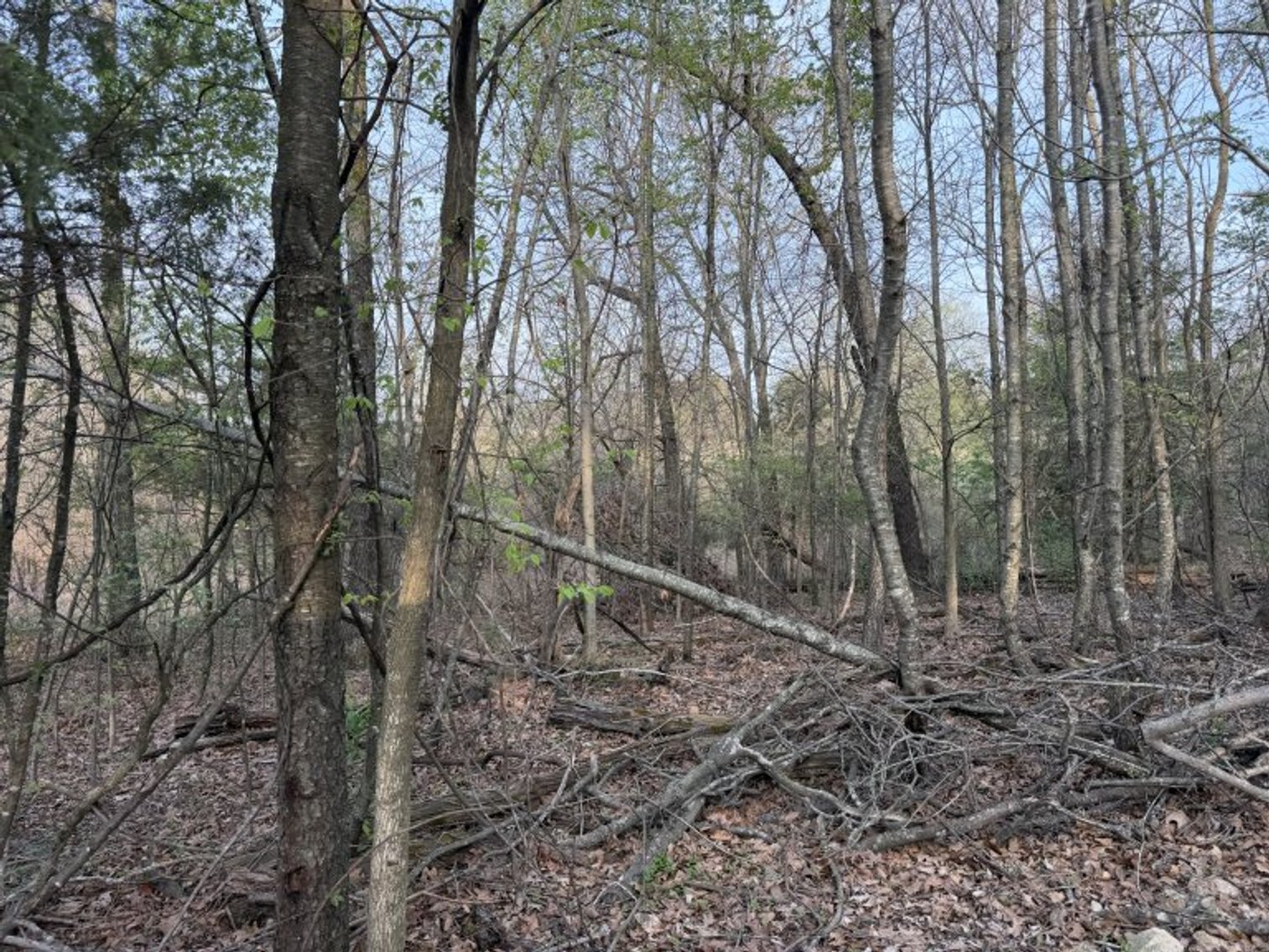 Image for PRATER HARDWOOD PRODUCTS, OK