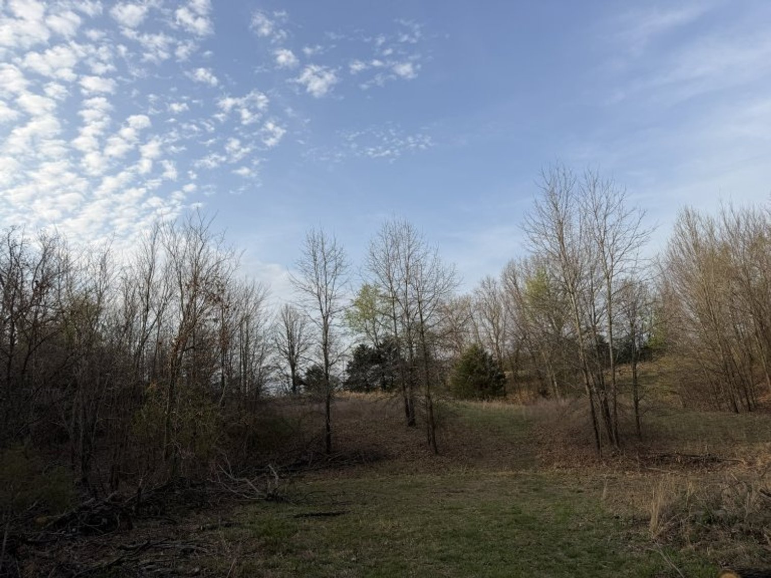 Image for PRATER HARDWOOD PRODUCTS, OK