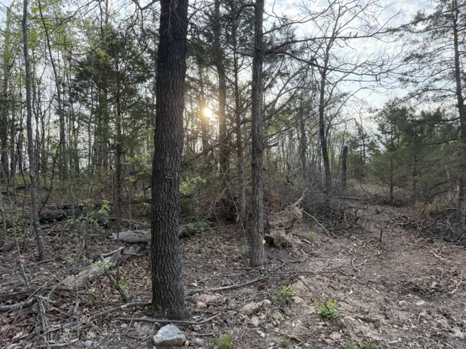 Image for PRATER HARDWOOD PRODUCTS, OK