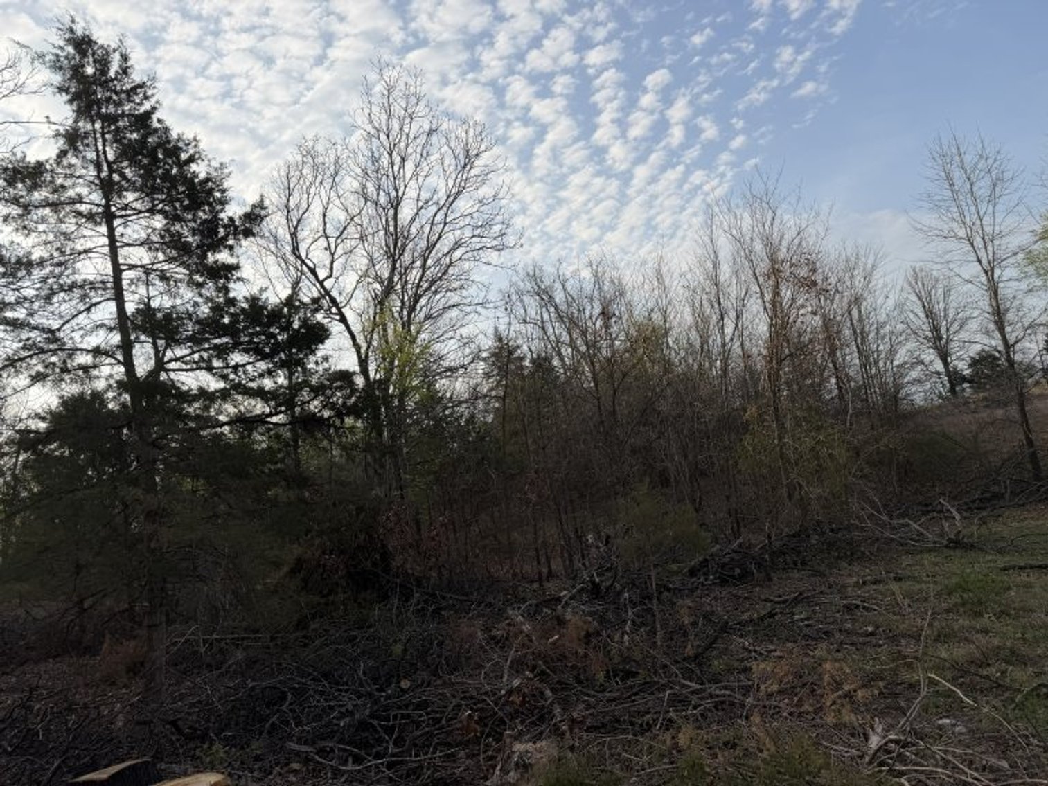 Image for PRATER HARDWOOD PRODUCTS, OK