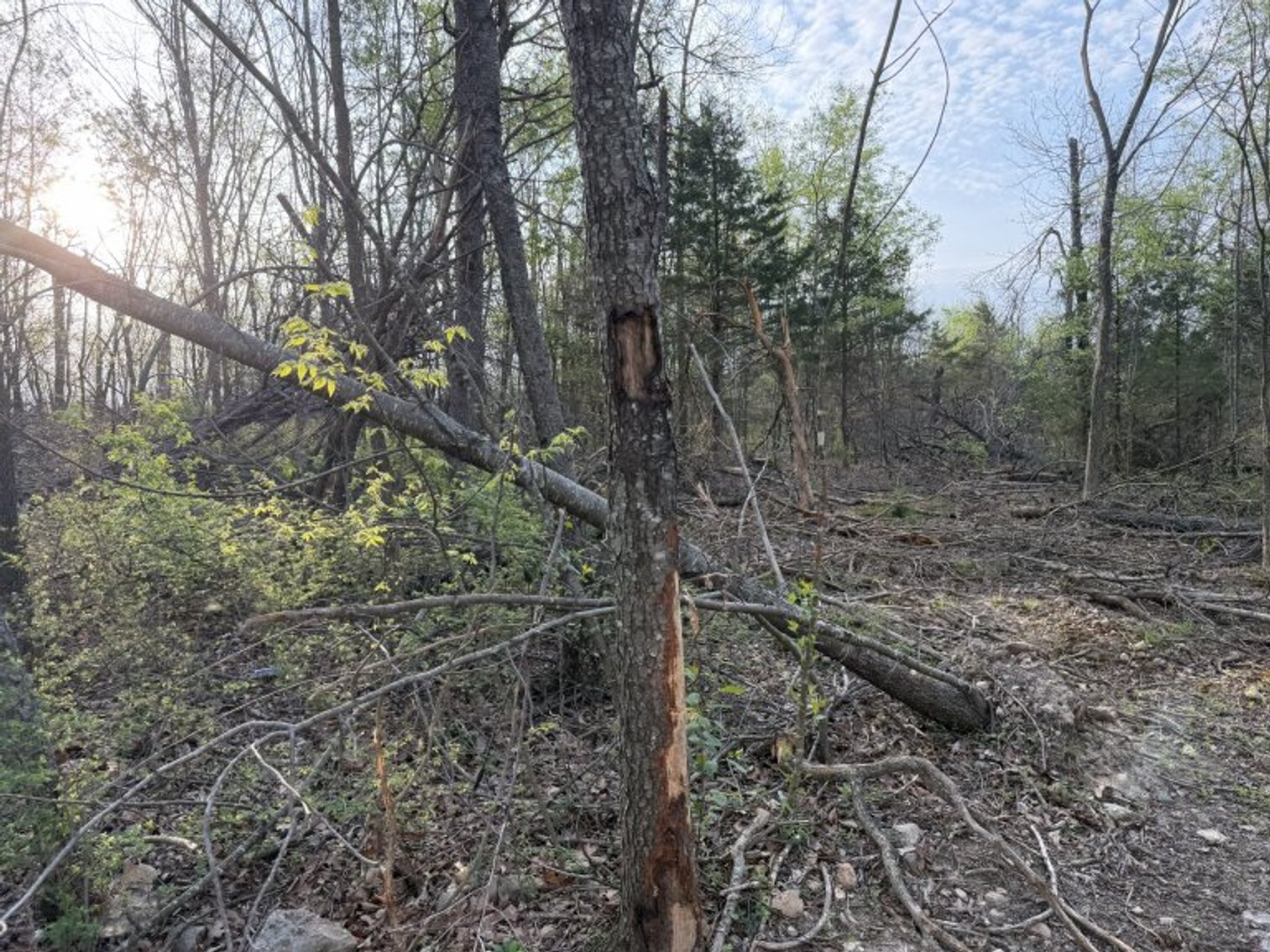 Image for PRATER HARDWOOD PRODUCTS, OK