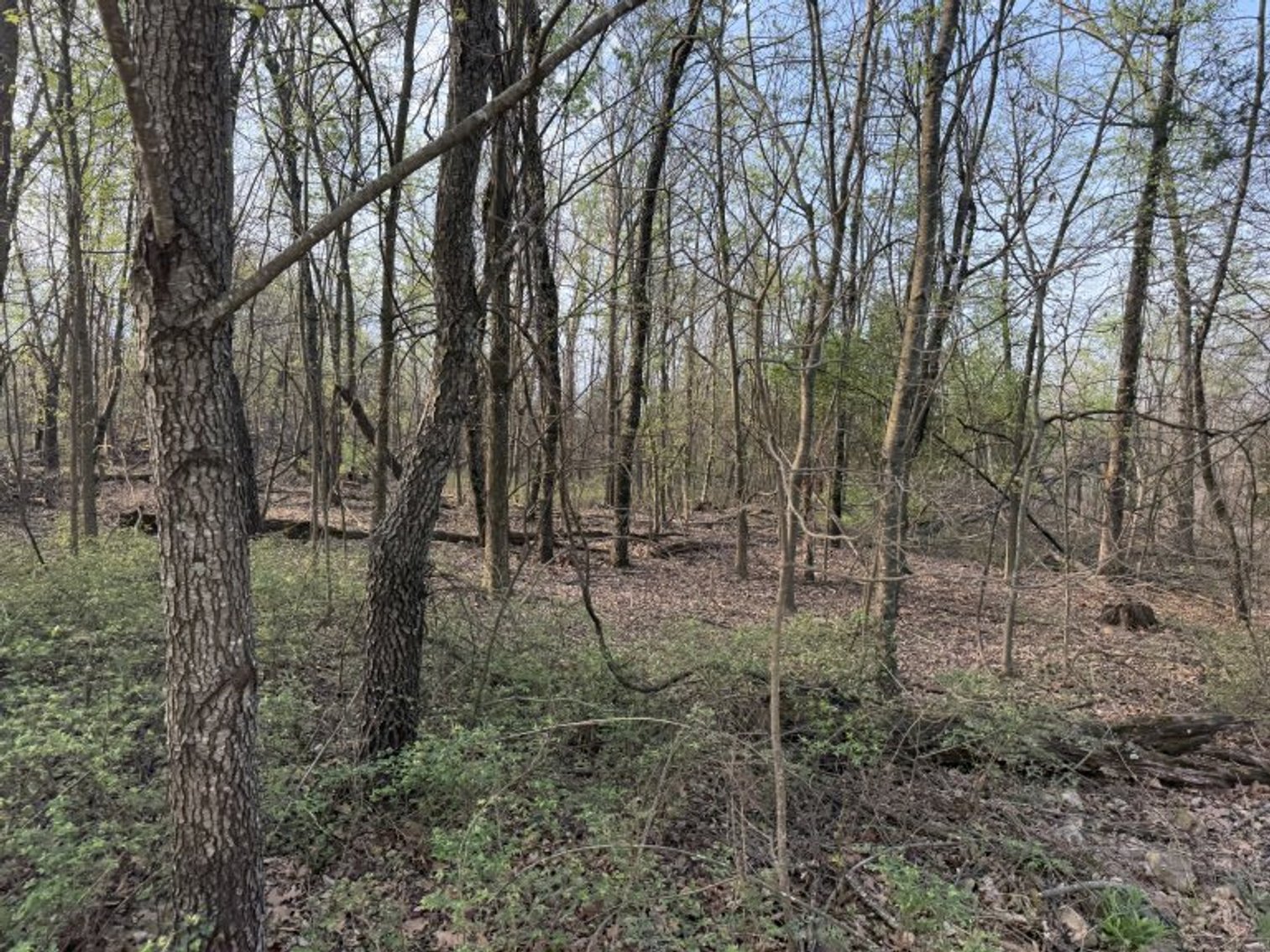 Image for PRATER HARDWOOD PRODUCTS, OK