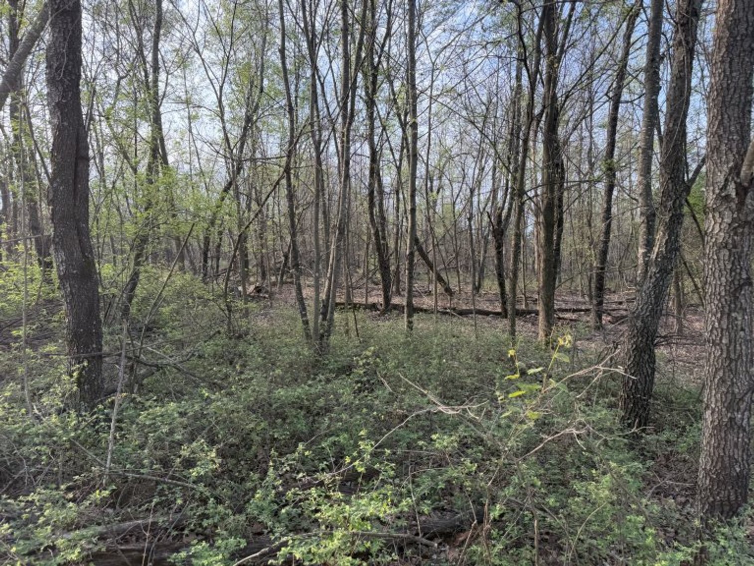 Image for PRATER HARDWOOD PRODUCTS, OK