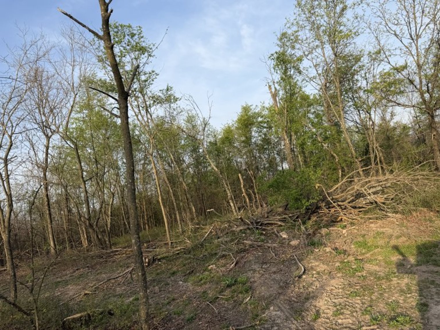 Image for PRATER HARDWOOD PRODUCTS, OK