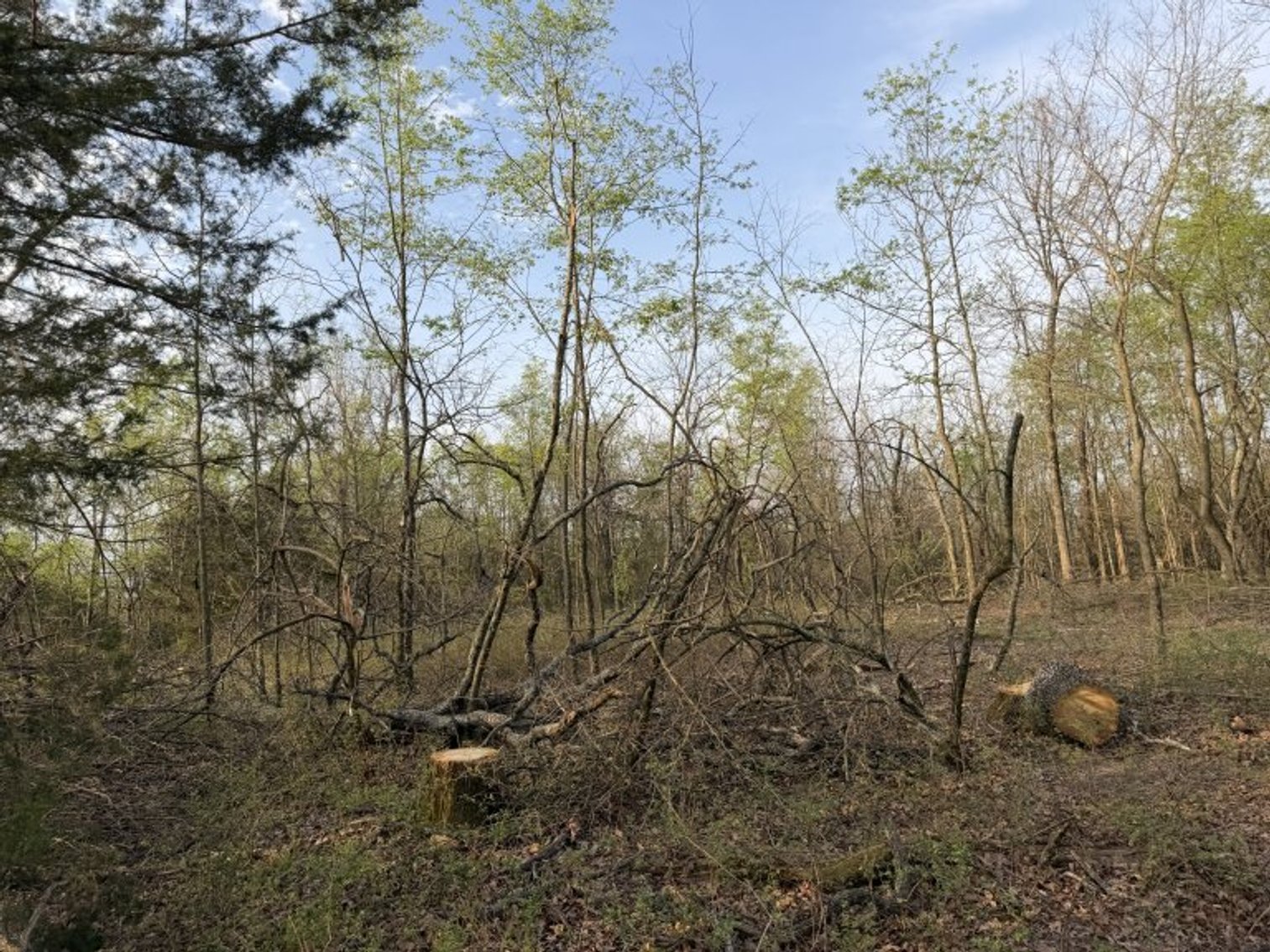 Image for PRATER HARDWOOD PRODUCTS, OK