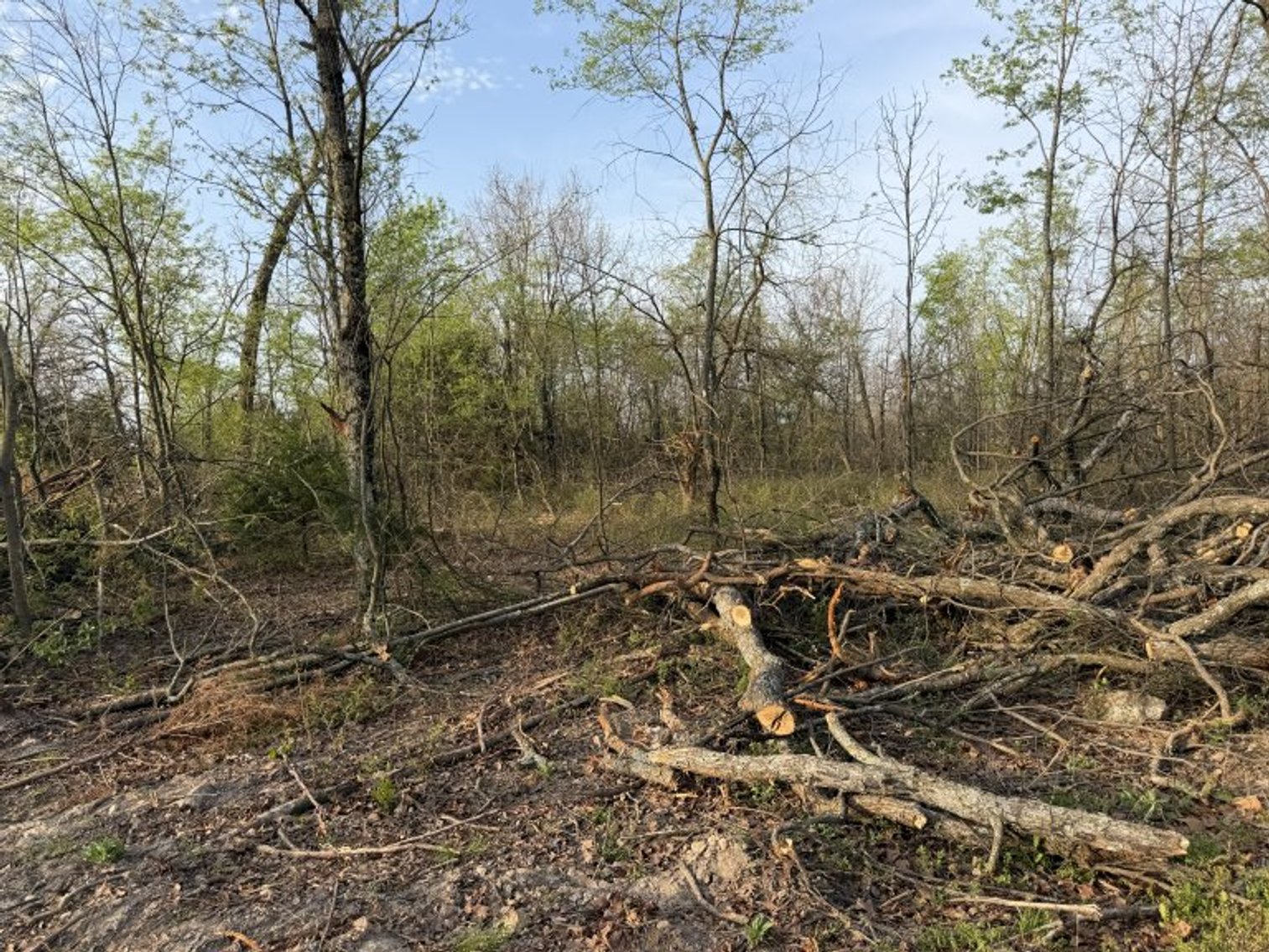 Image for PRATER HARDWOOD PRODUCTS, OK