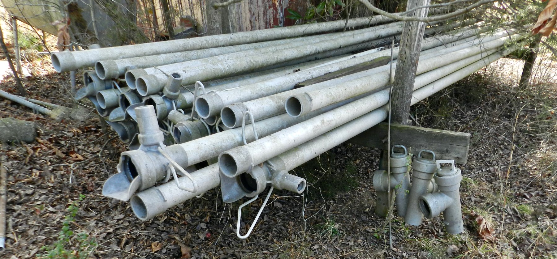 Image for Scearce Auction