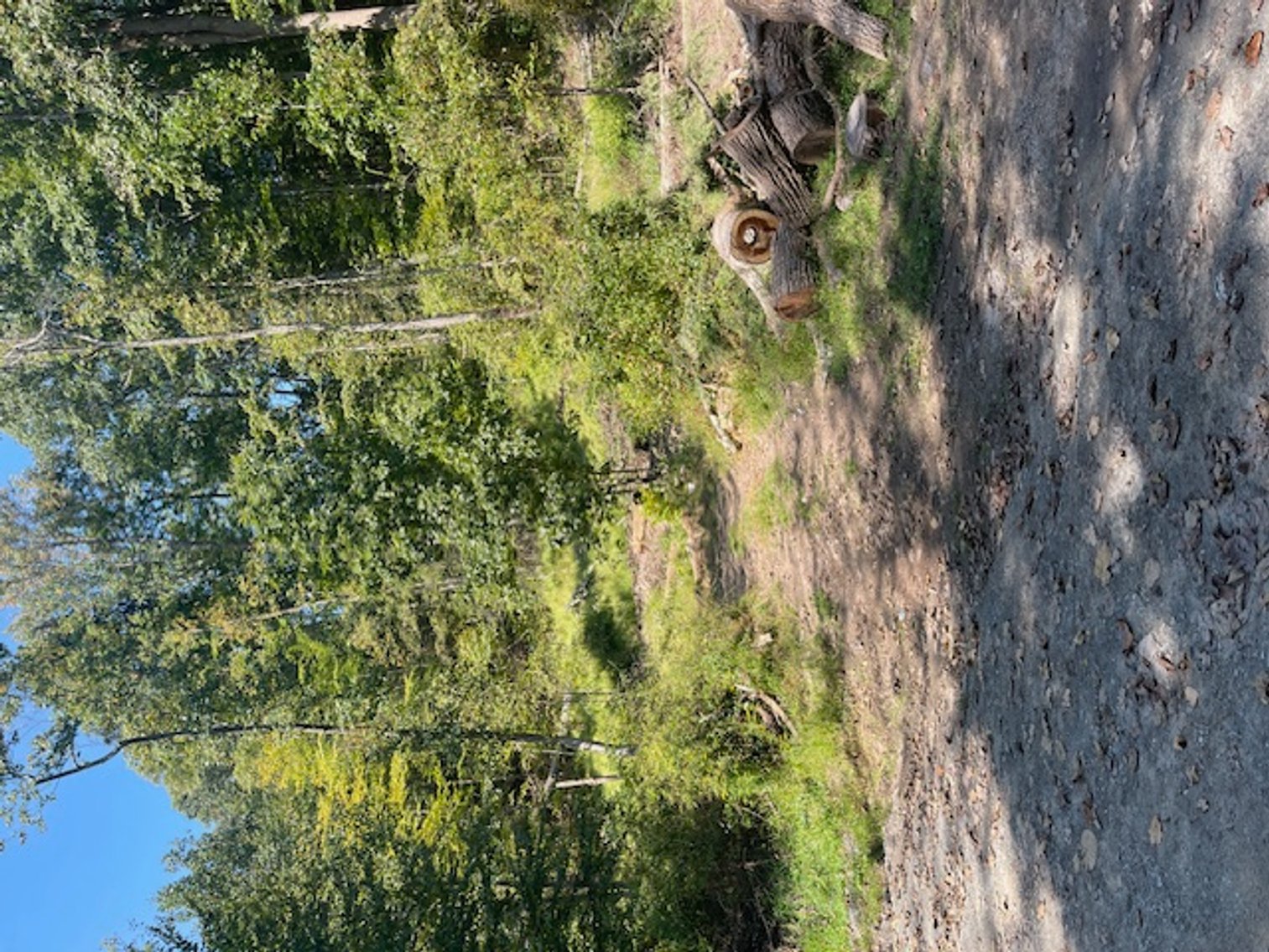 Image for Project Home: 567 Sandy Valley Rd., Falls PA