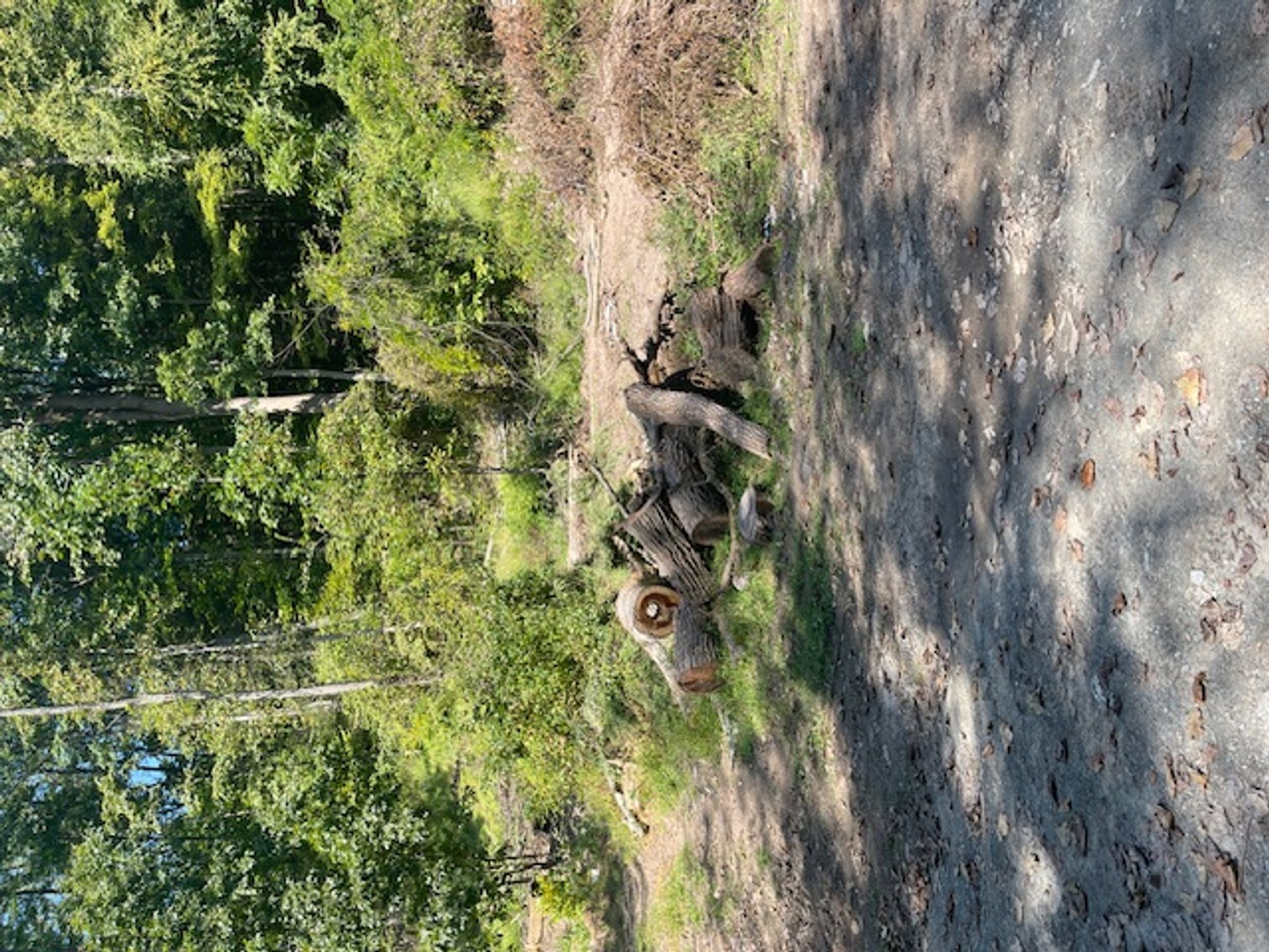 Image for Project Home: 567 Sandy Valley Rd., Falls PA