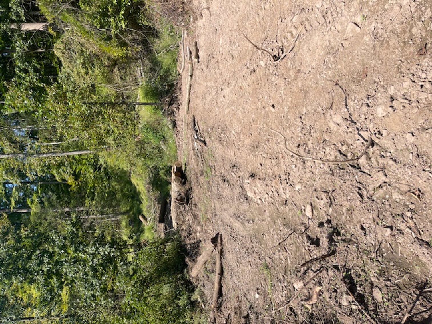 Image for Project Home: 567 Sandy Valley Rd., Falls PA