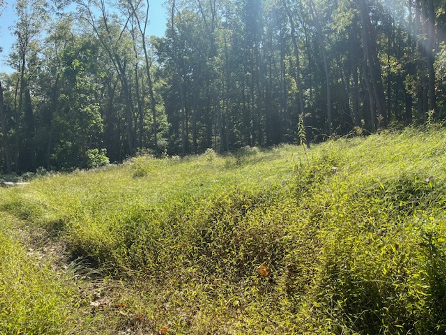 Image for 9 Mountain Rd., Tunkhannock PA