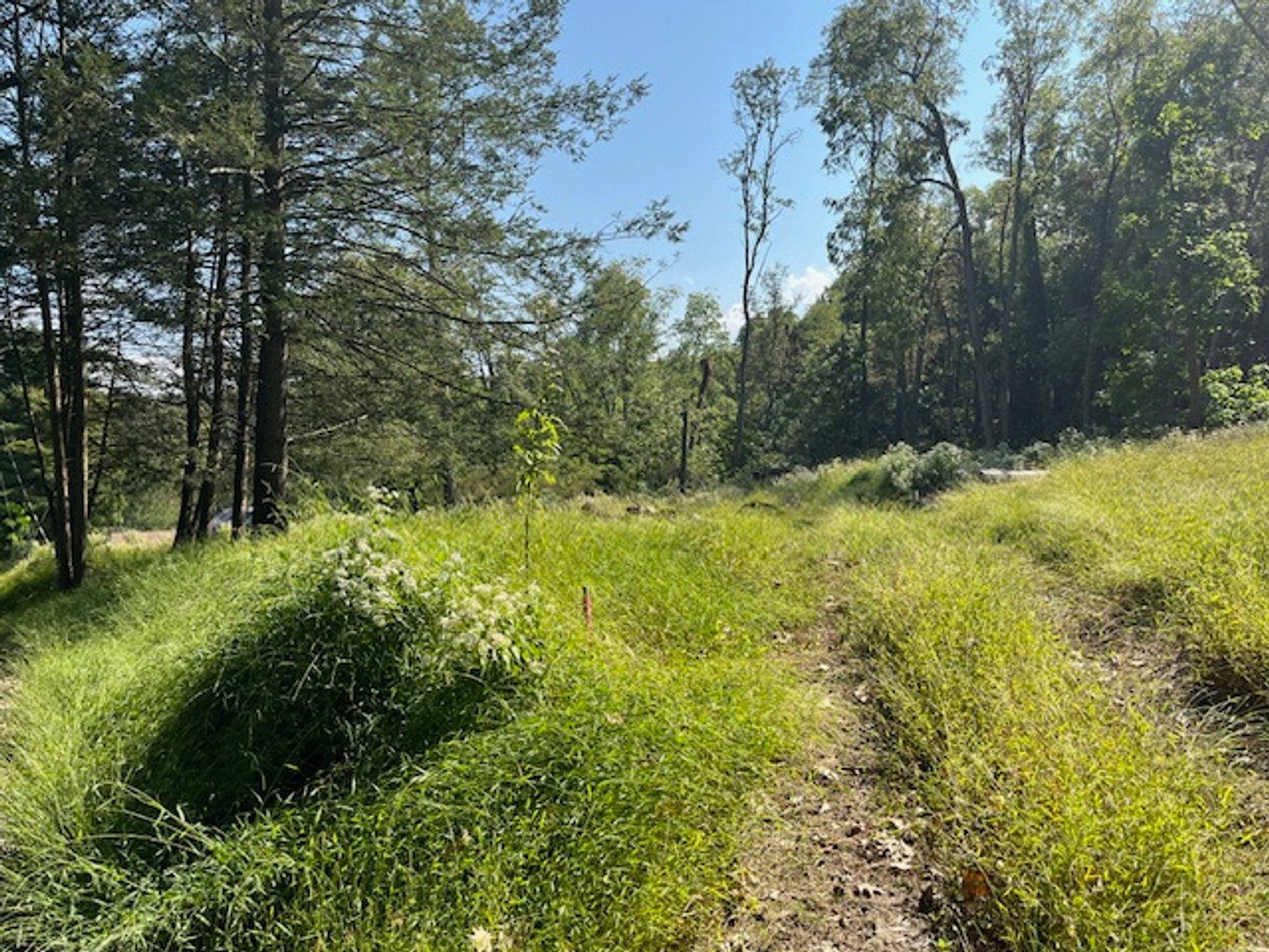 Image for 9 Mountain Rd., Tunkhannock PA