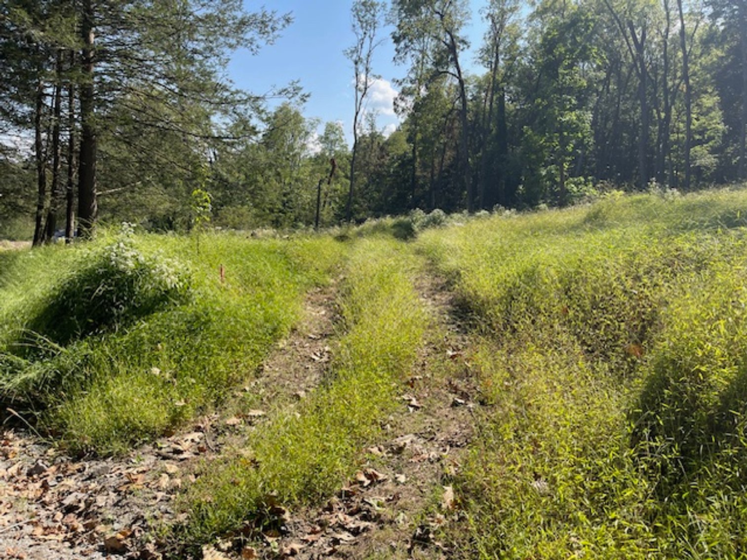 Image for 9 Mountain Rd., Tunkhannock PA