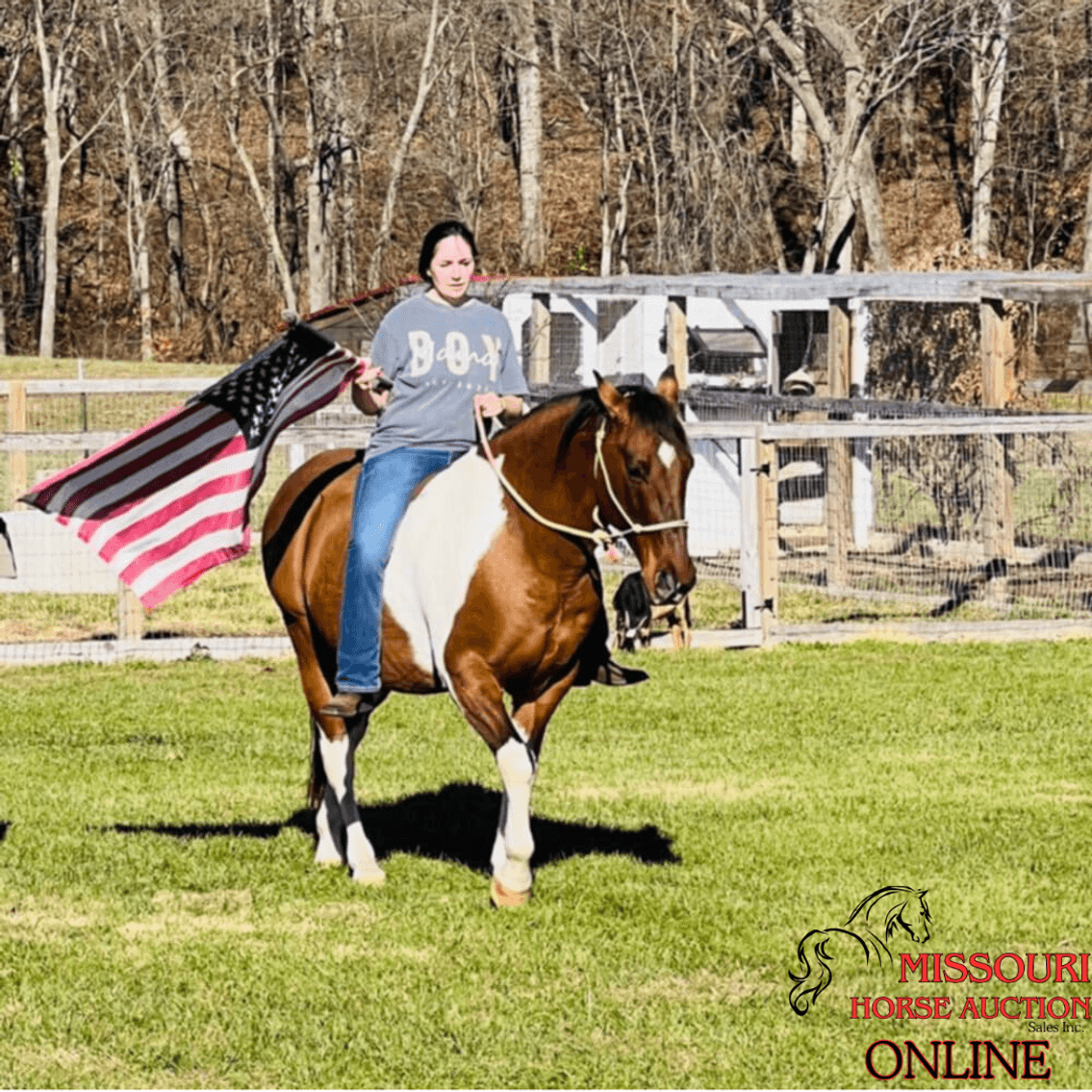 Image for May-10 DAY, ONLINE ONLY Horse Auction