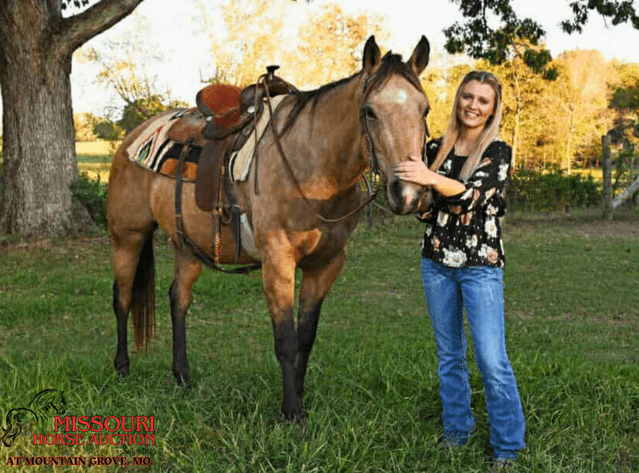 Image for Missouri Horse Auction AT MOUNTAIN GROVE- FRIDAY, AUGUST 8TH, 2025