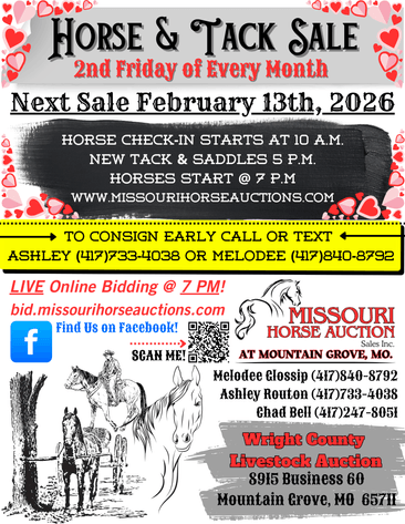 Image for Missouri Horse Auction AT MOUNTAIN GROVE- FRIDAY, FEBRUARY 13TH, 2026