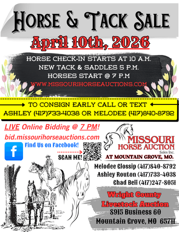 Image for Missouri Horse Auction AT MOUNTAIN GROVE- FRIDAY, APRIL 10TH, 2026