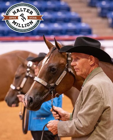 Image for 2025 WCHA Trainer Sale