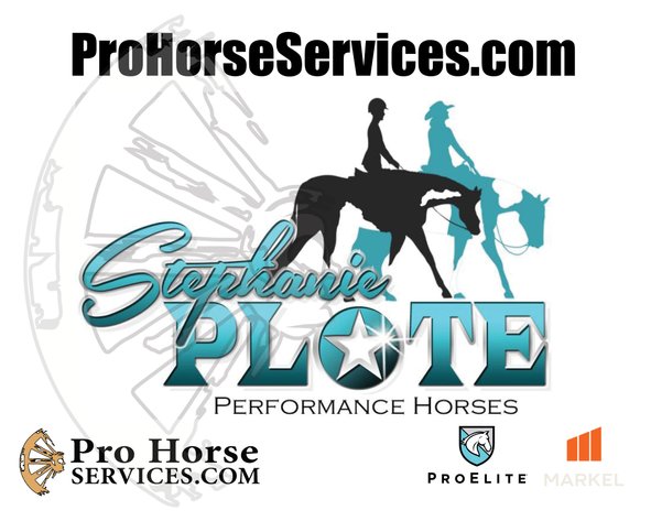 Image for 2025 May INTERNET Auction