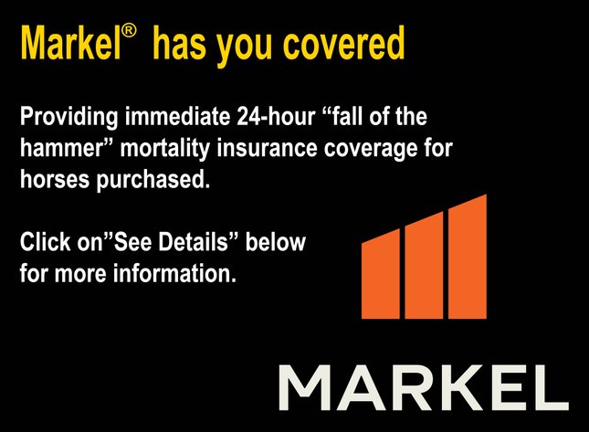 Image for The Vital Spotlight Sale