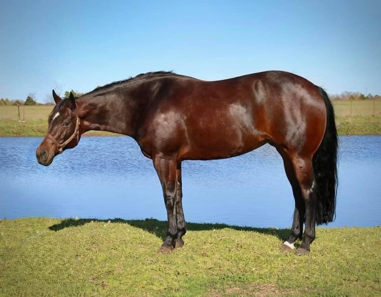 Image for 2025 The Prospect Sale