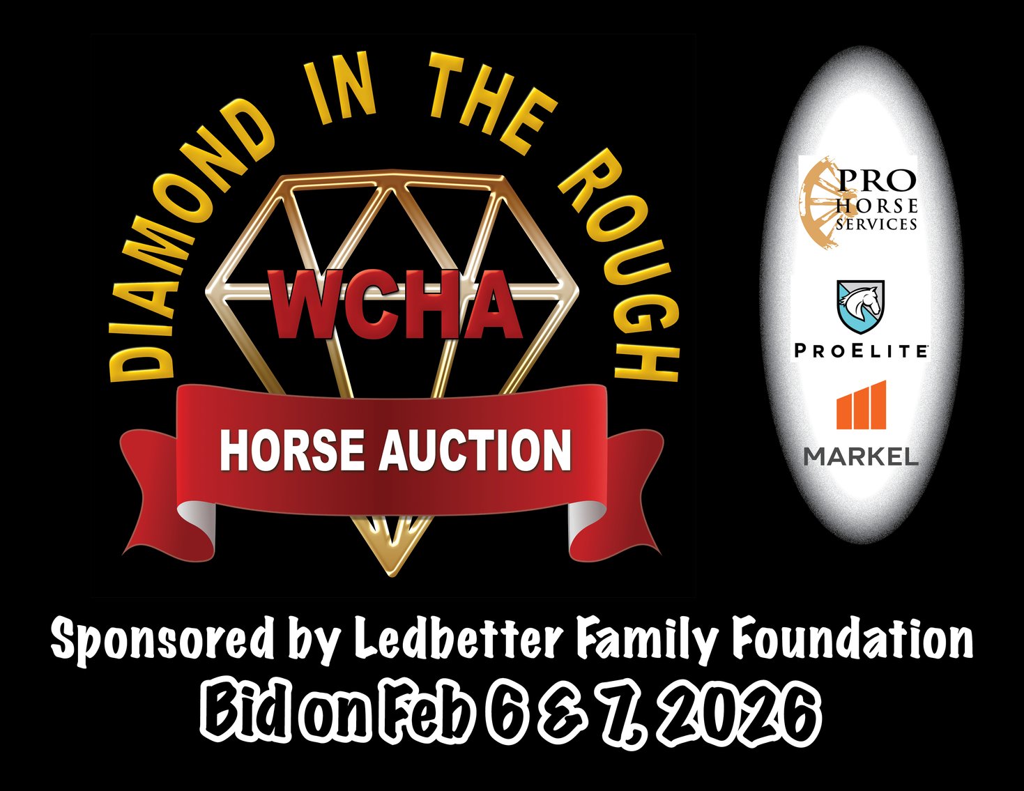 Image for WCHA Diamond in the Rough Online Auction