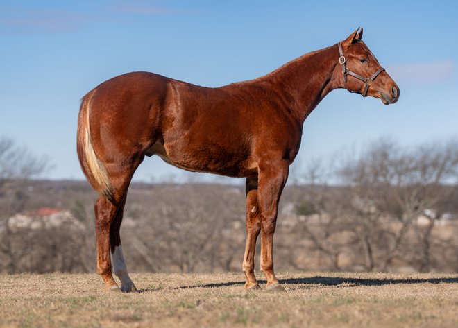 Image for WCHA Diamond in the Rough Online Auction