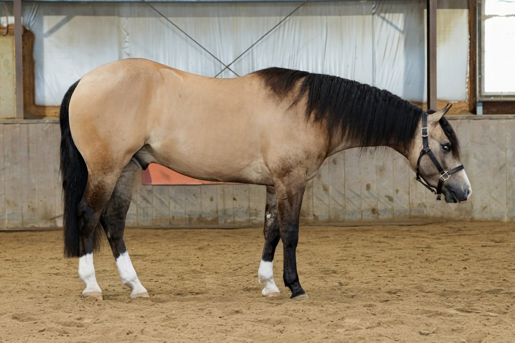 Image for 2026 April Internet Auction