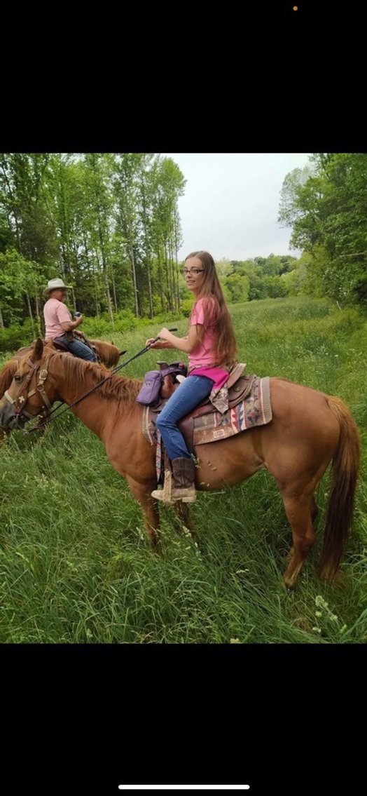 Image for Hamilton Co. Horse Sale & Tack Auction