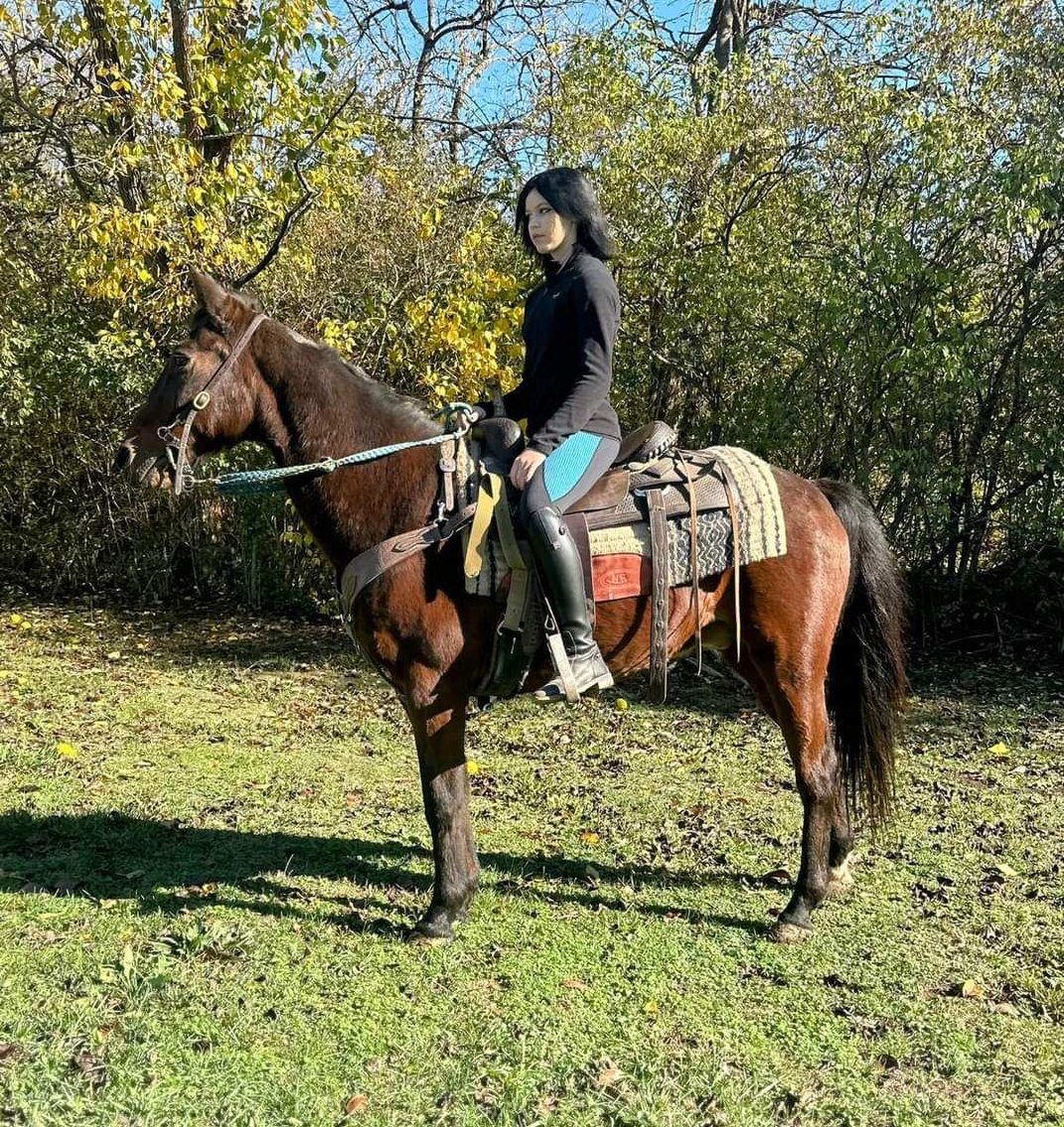 Image for Hamilton County Horse & Tack Sale -SATURDAY November 16th - Noblesville, IN