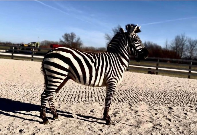 Image for Hamilton County 