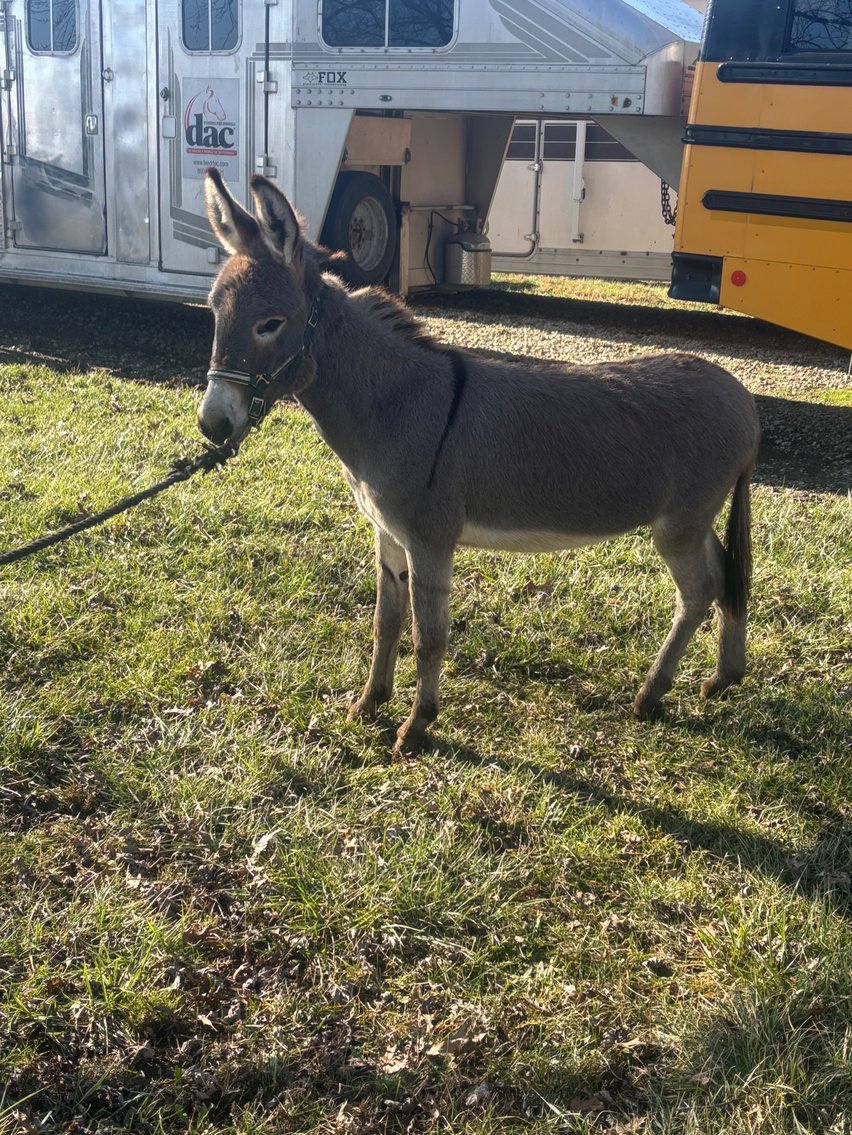 Image for Hamilton County 