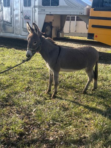 Image for Hamilton County 