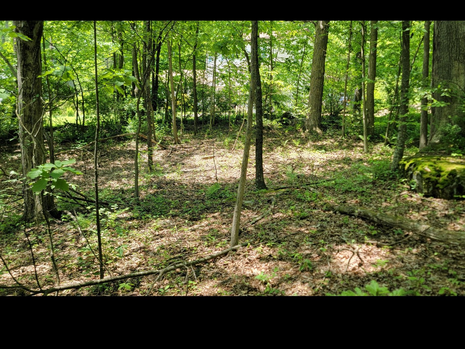 Image for TBD Paradise Lake Road