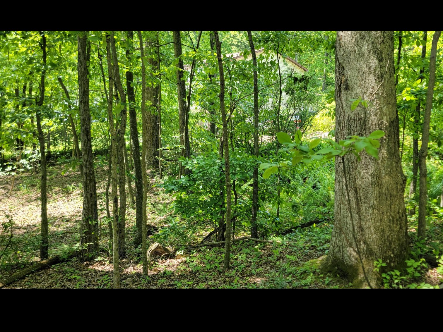 Image for TBD Paradise Lake Road