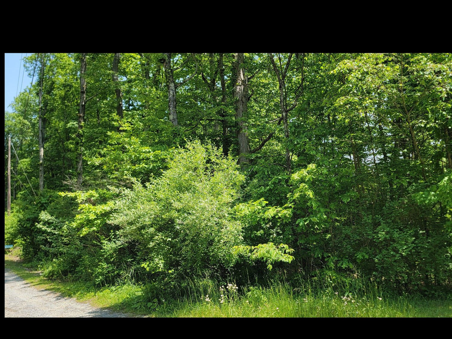 Image for TBD Paradise Lake Road