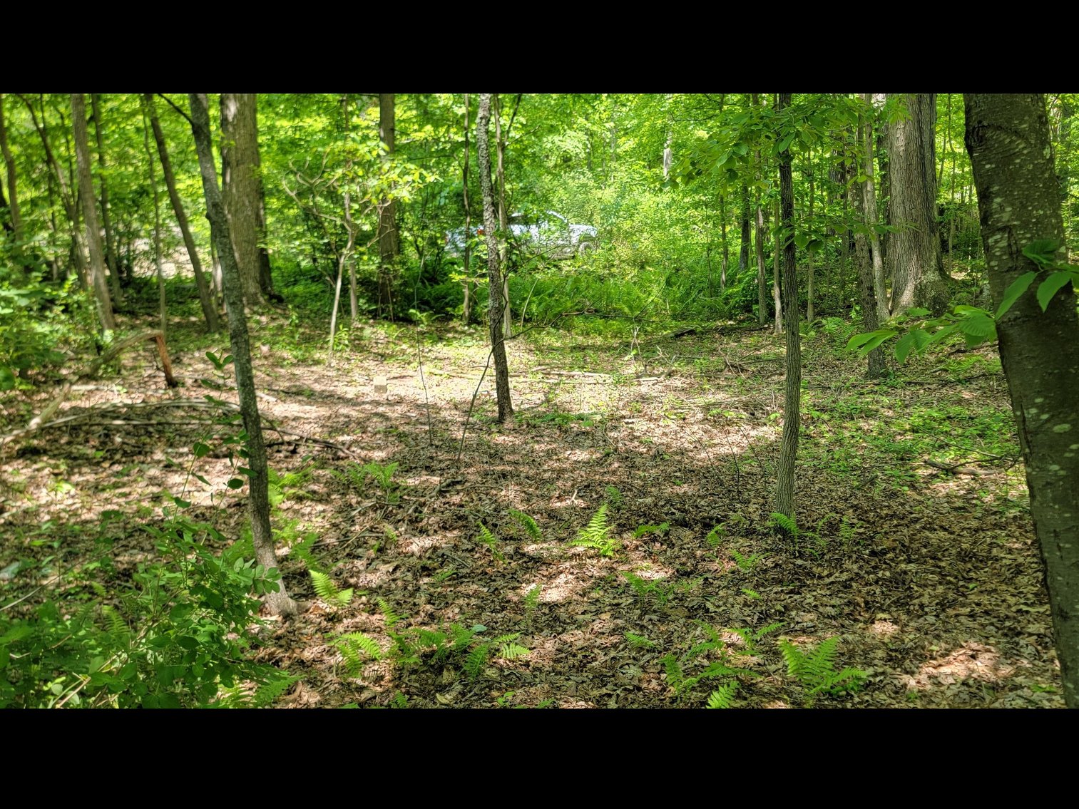 Image for TBD Paradise Lake Road