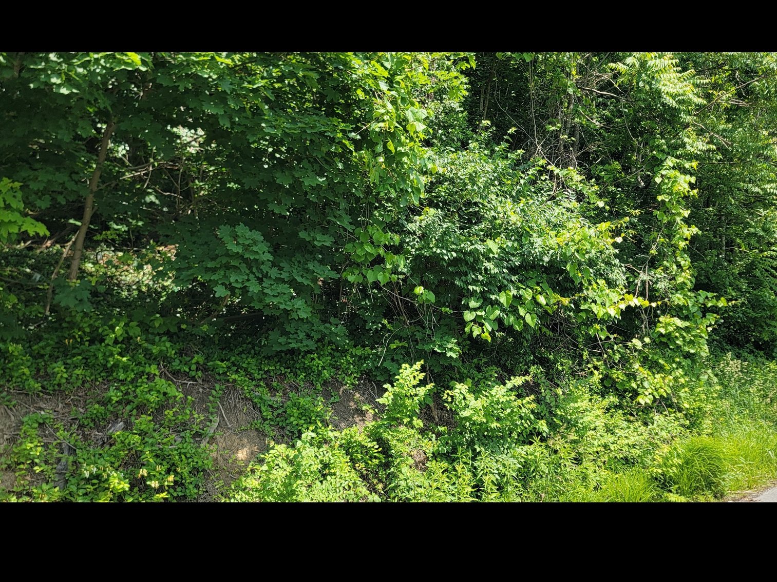 Image for Parcel 321 Lorentz Ave, Morgantown WV 26505