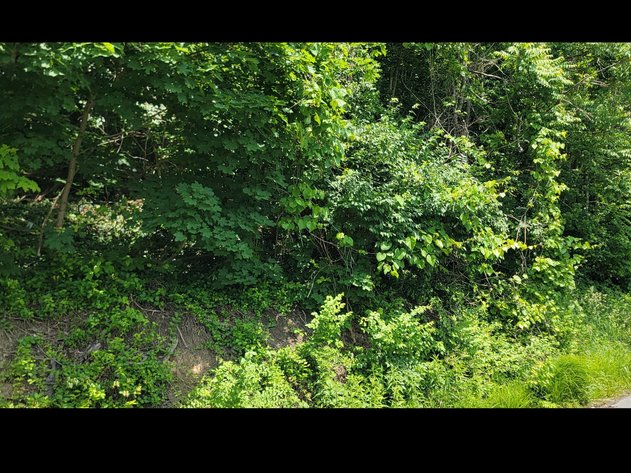 Image for Parcel 321 Lorentz Ave, Morgantown WV 26505