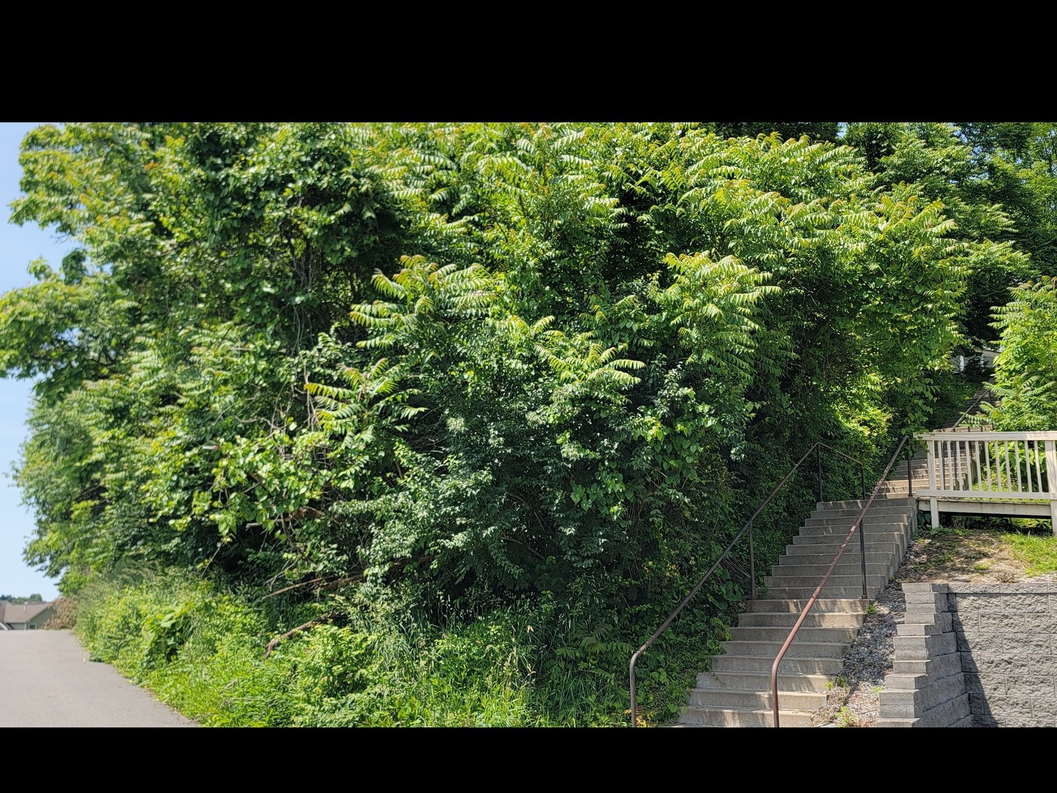 Image for Parcel 314 Lorentz Ave, Morgantown WV 26505