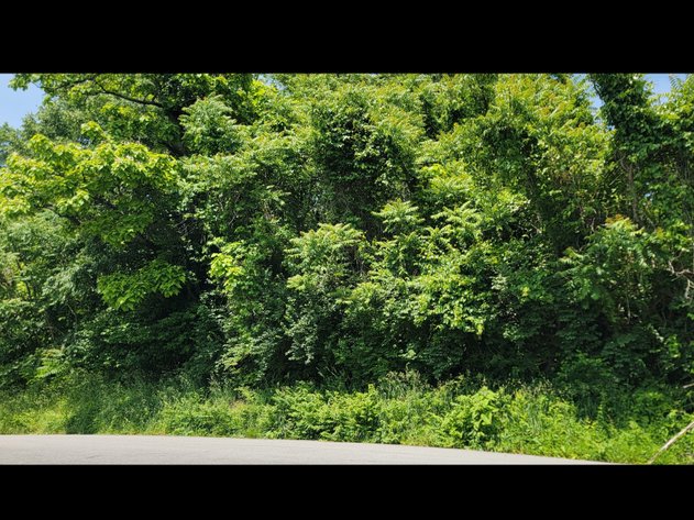 Image for Parcel 314 Lorentz Ave, Morgantown WV 26505