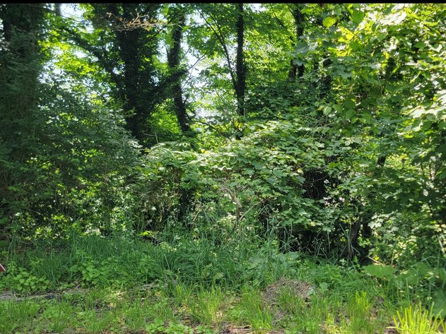 Image for Parcel 321 Lorentz Ave, Morgantown WV 26505