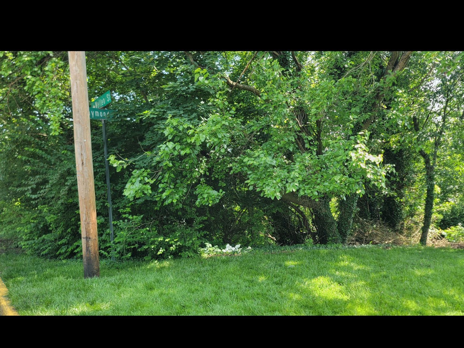 Image for Parcel 314 Lorentz Ave, Morgantown WV 26505